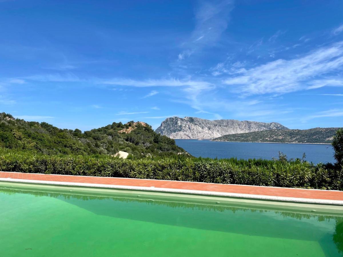 San Teodoro Punta Est Delizioso Monolocale Vista Mare Daire Dış mekan fotoğraf