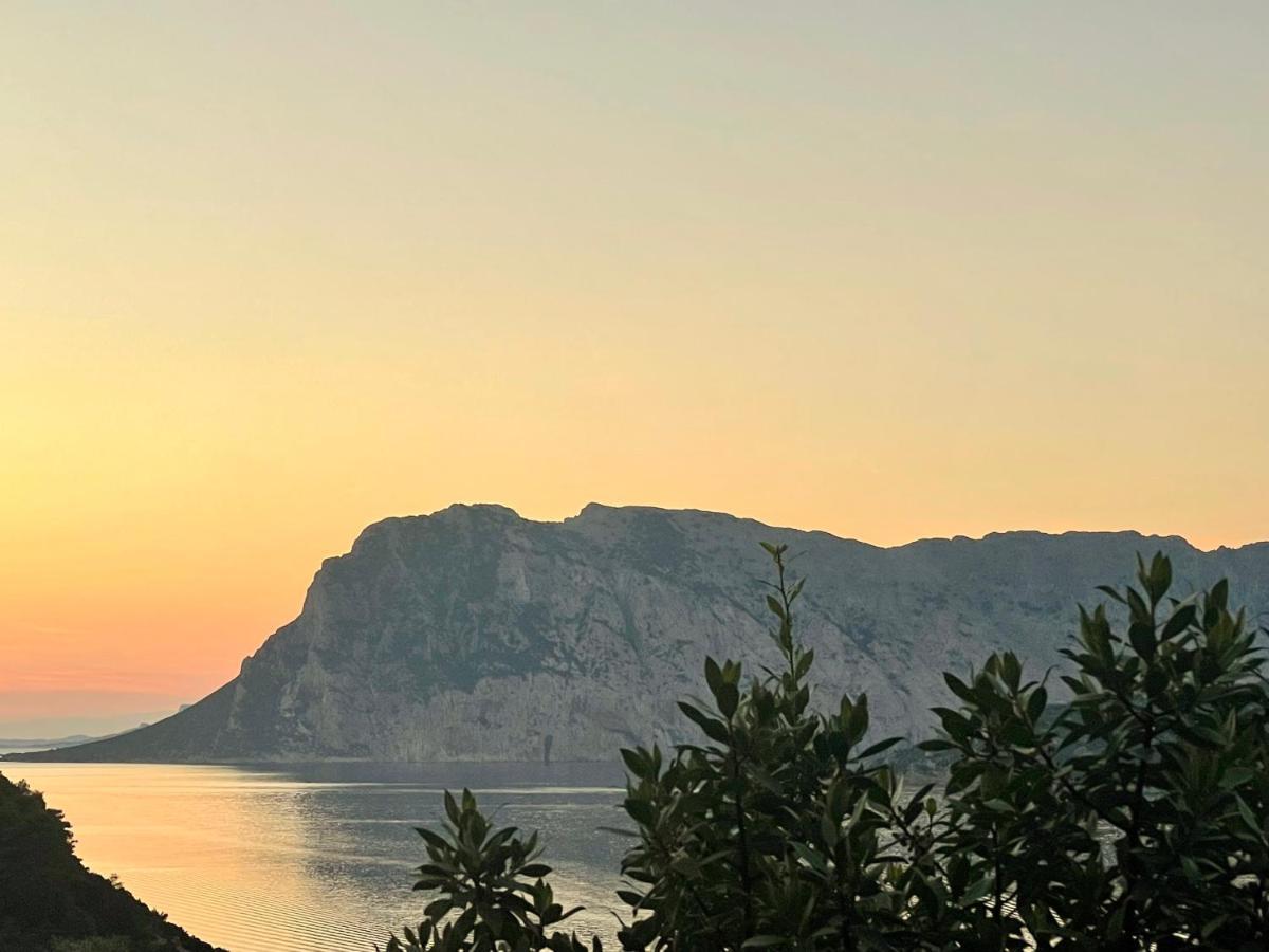 San Teodoro Punta Est Delizioso Monolocale Vista Mare Daire Dış mekan fotoğraf