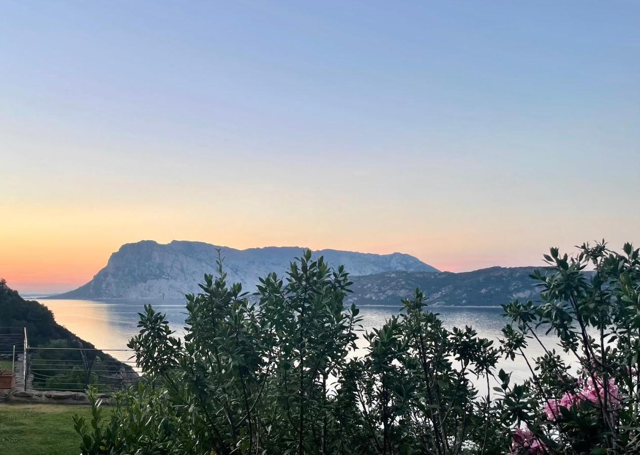 San Teodoro Punta Est Delizioso Monolocale Vista Mare Daire Dış mekan fotoğraf