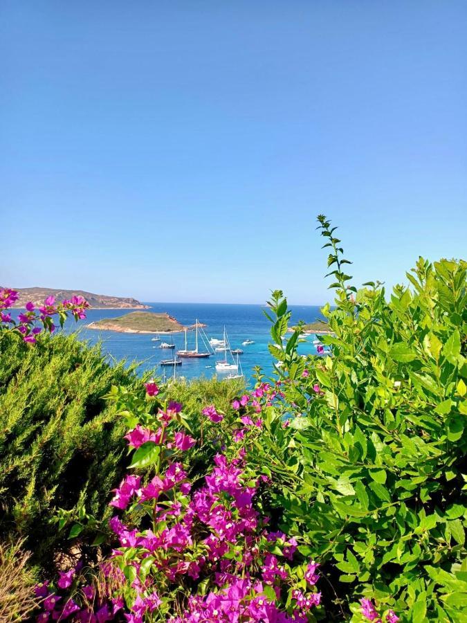 San Teodoro Punta Est Delizioso Monolocale Vista Mare Daire Dış mekan fotoğraf