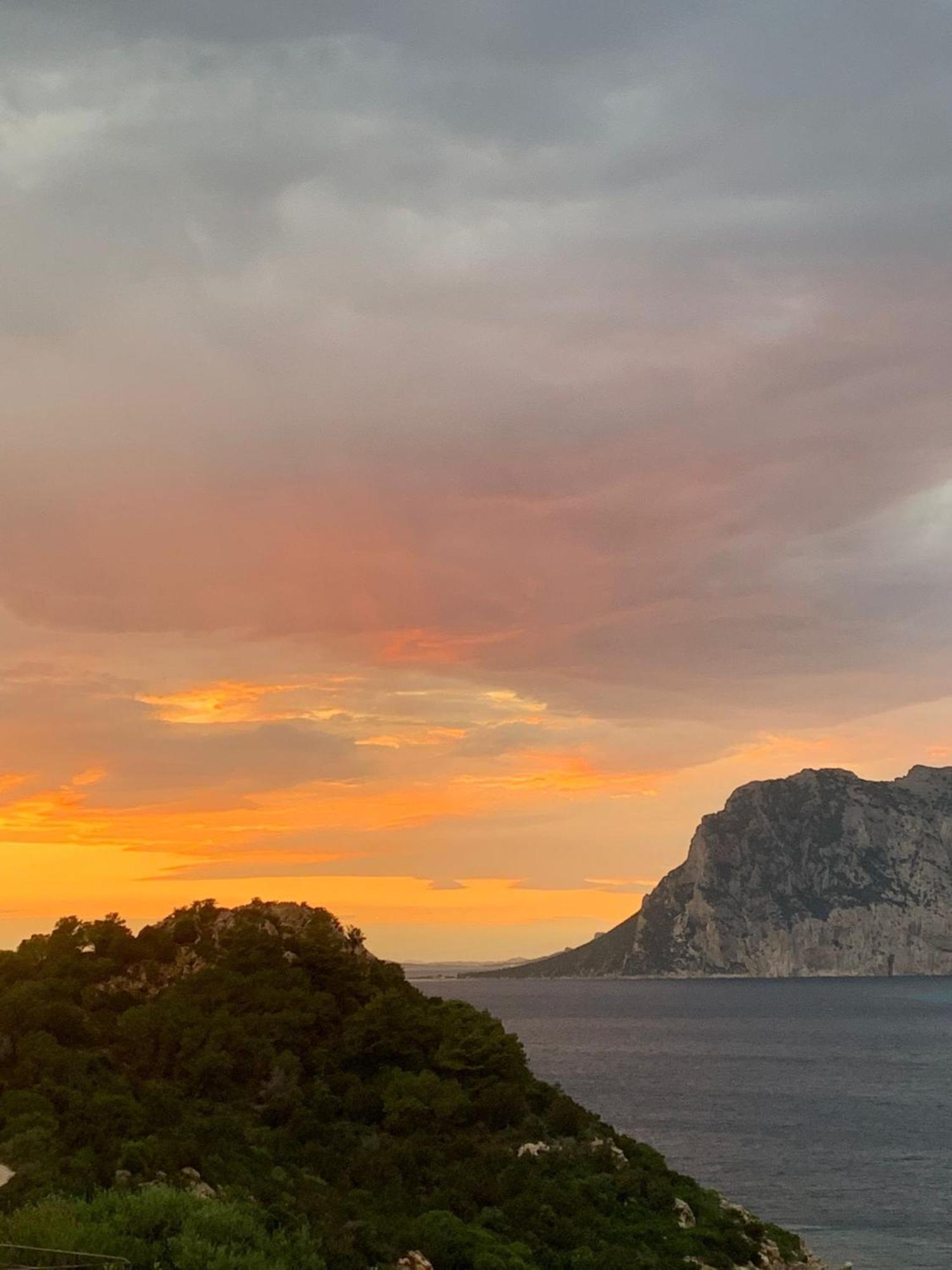 San Teodoro Punta Est Delizioso Monolocale Vista Mare Daire Dış mekan fotoğraf